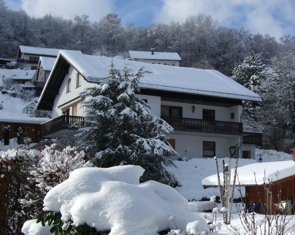 Haus Mittelberg Apartment Olsberg Room photo